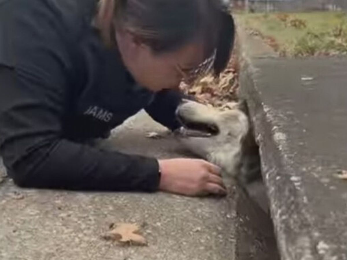 woman checking on the dog in sewer