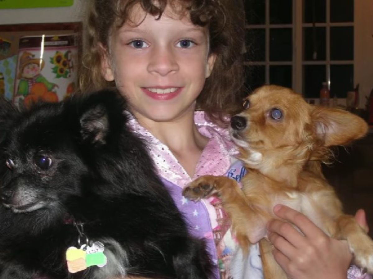 the little girl is holding two cute puppies in her arms