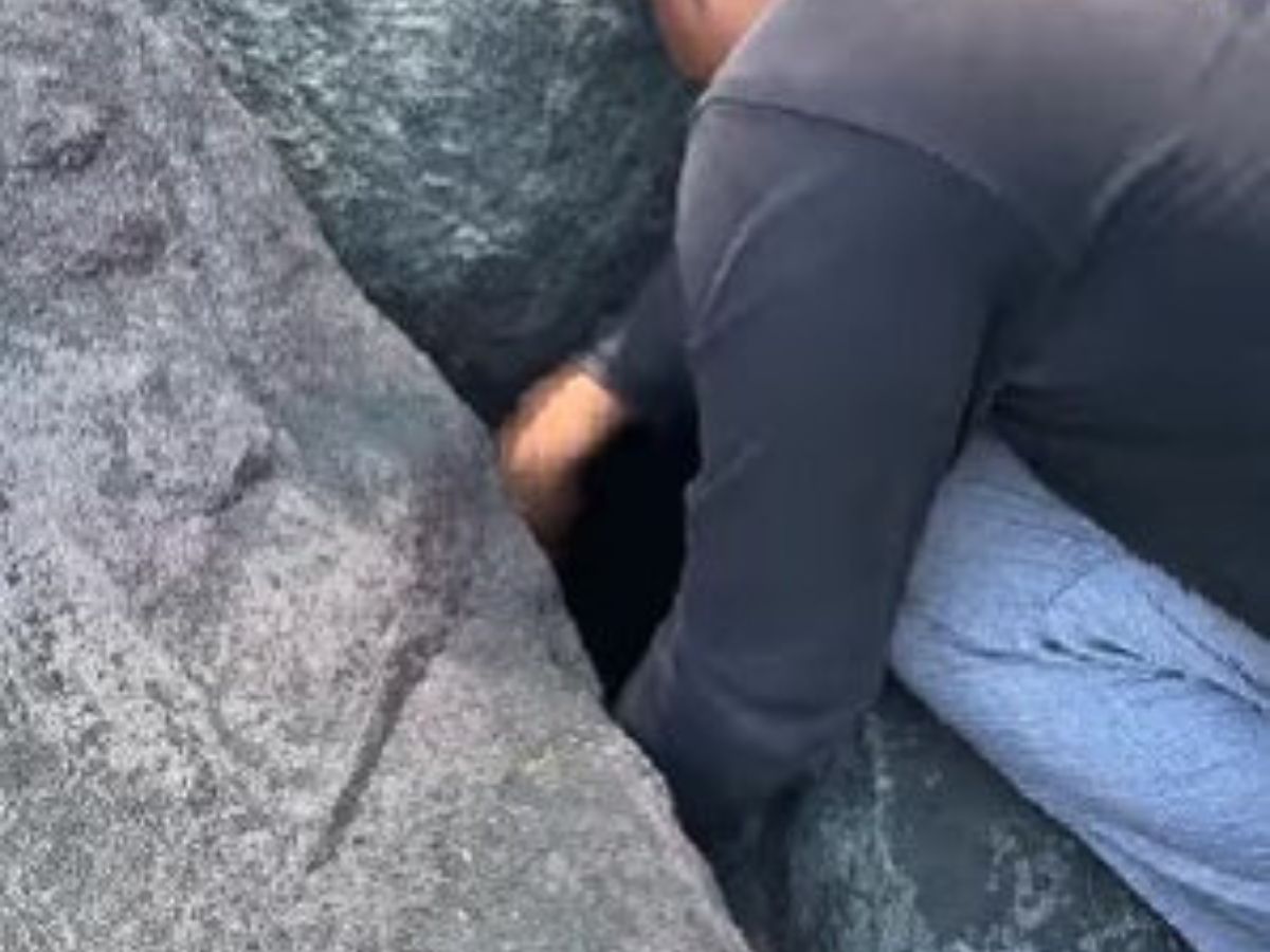 the man pulls the dog out from under the rocks