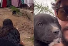 Rescuers See A Little Puppy Crossing A Busy Street And They Know Exactly What They Need To Do