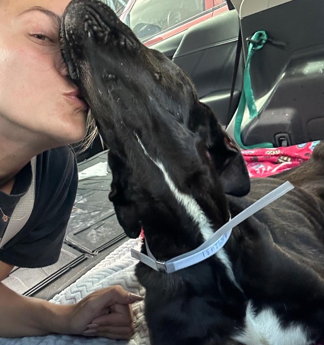 a girl kisses a black dog