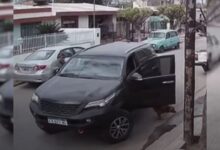 Dog Jumps Into An Owner’s Car And Accidentally Crashes It Into A Wall