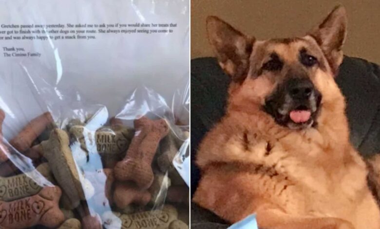 Mailman Heartbroken After One Of His Favorite Route Dogs Passes Away