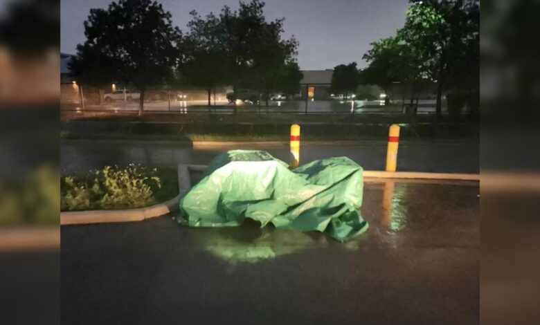 Shelter Workers Were Puzzled By A Mysterious Green Tarp In The Parking Lot, So They Went To Investigate