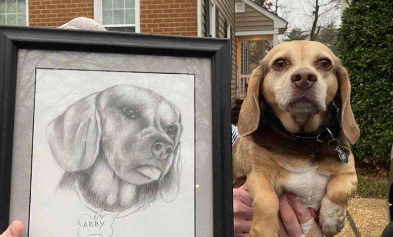 Sweet Dog Was Surrendered To A Shelter With His Portrait, Then Something Wonderful Happened