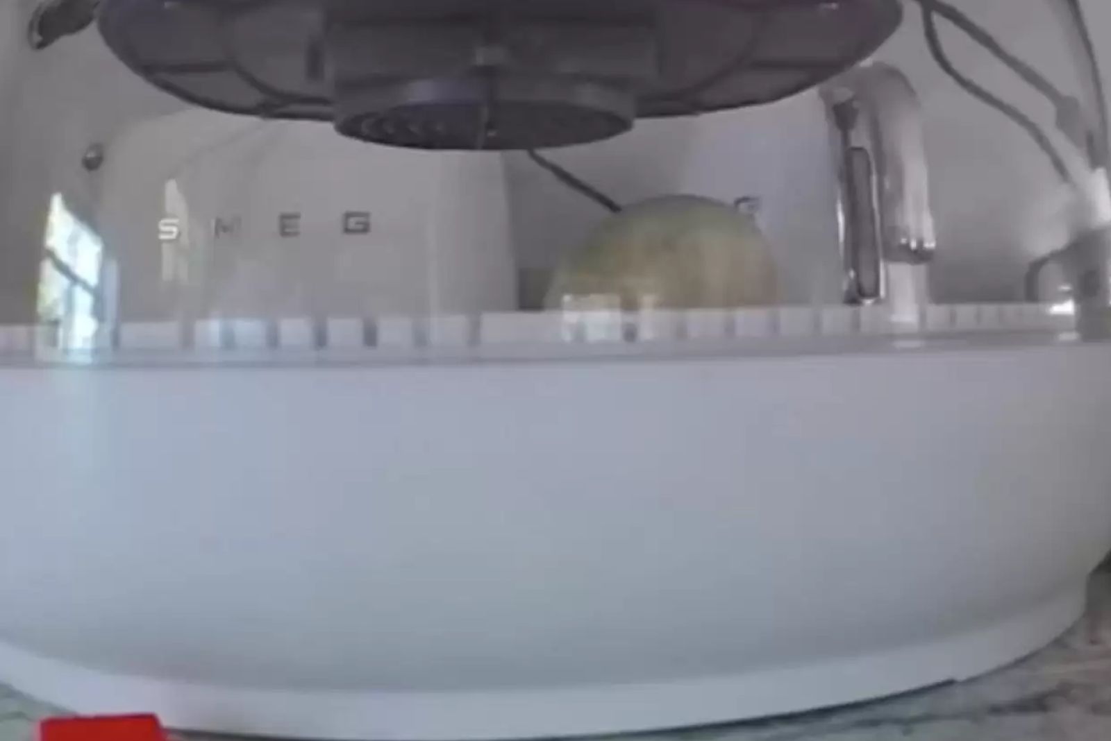 egg in the incubator