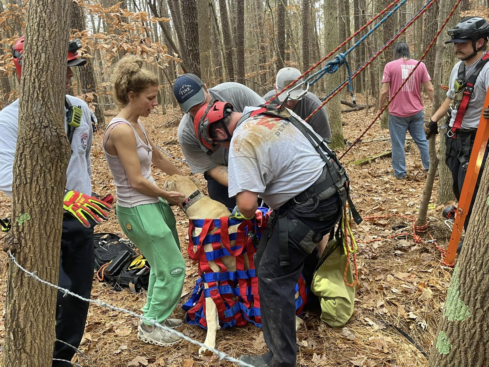 photo of rescued dog with firefighters