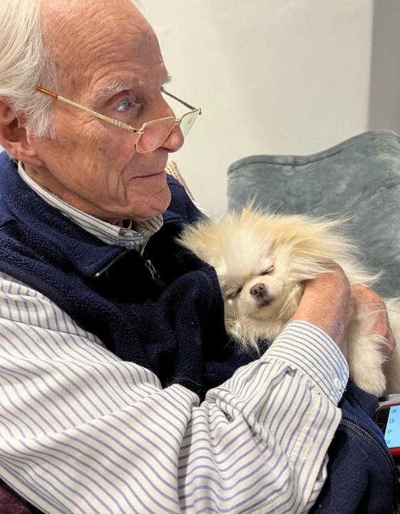 a dog sleeps in the arms of an older man while he watches TV