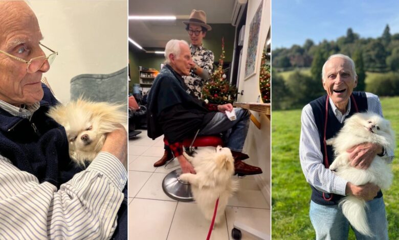 87-Year Old Man And His Affectionate Dog Don’t Know Life Without Each Other