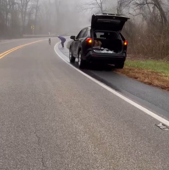man stopped the car to save a dog