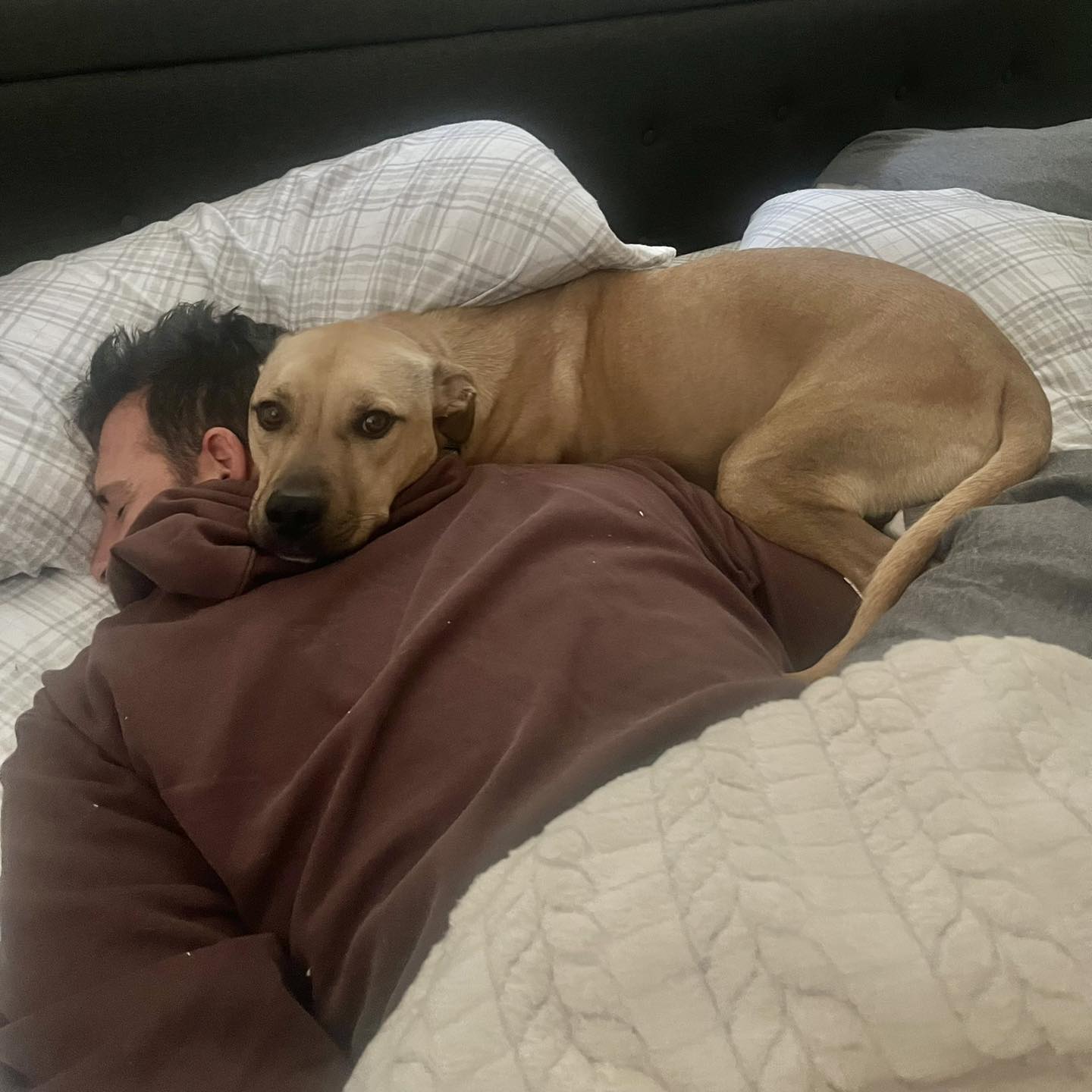dog laying on man's back in the bed