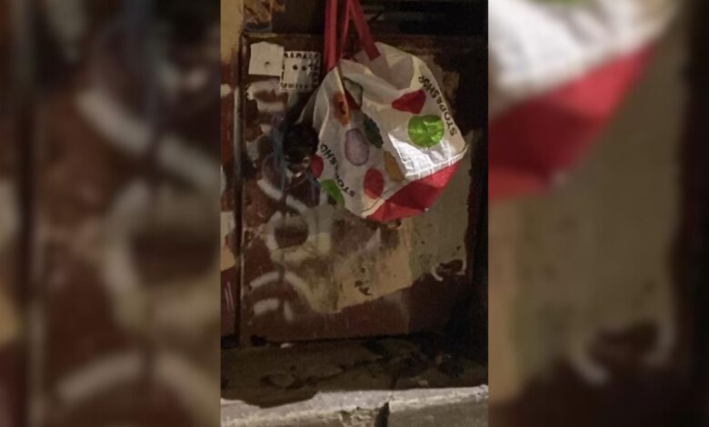 Woman Was Shocked When She Saw A Fluffy Head Peeking From The Bag On The Container