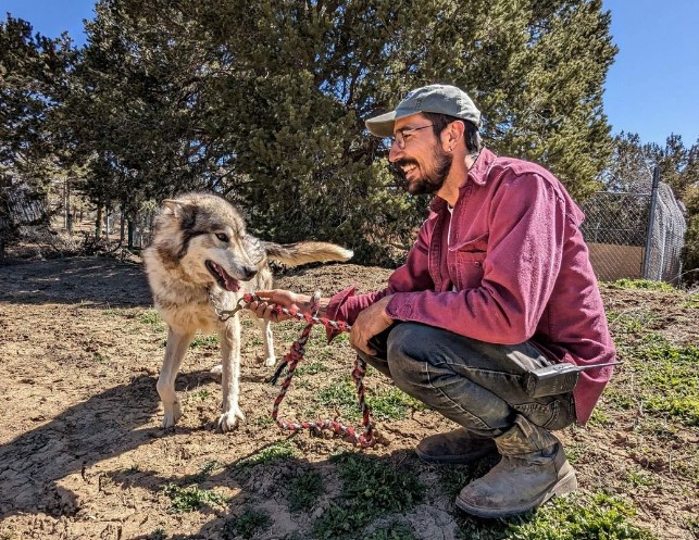 a smiling man is crouching next to a dog on a leash