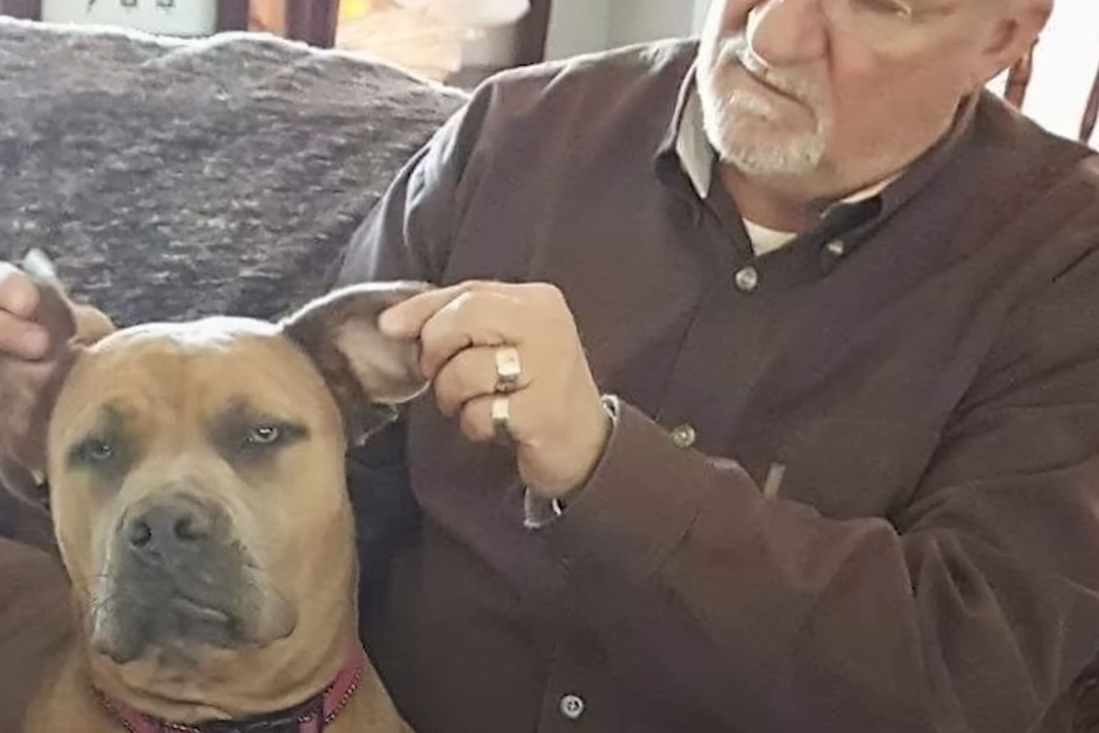 old guy holding dog for ears