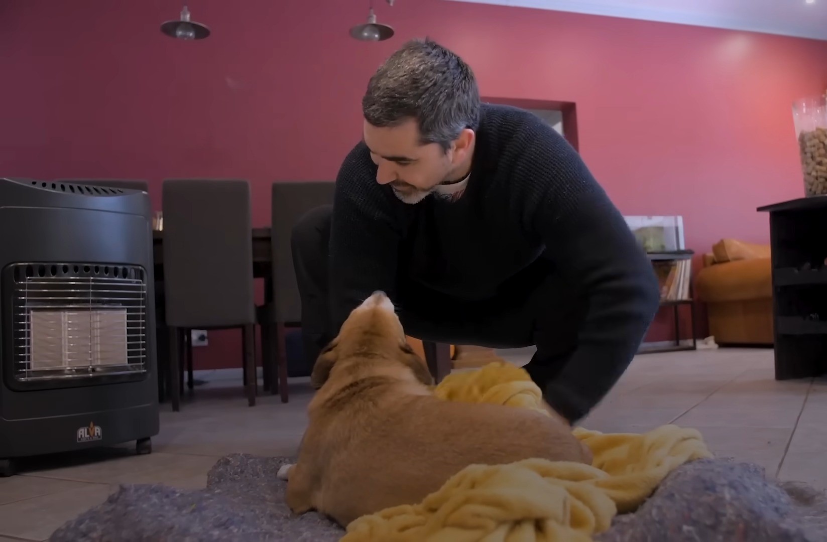 photo of a man petting the dog lying