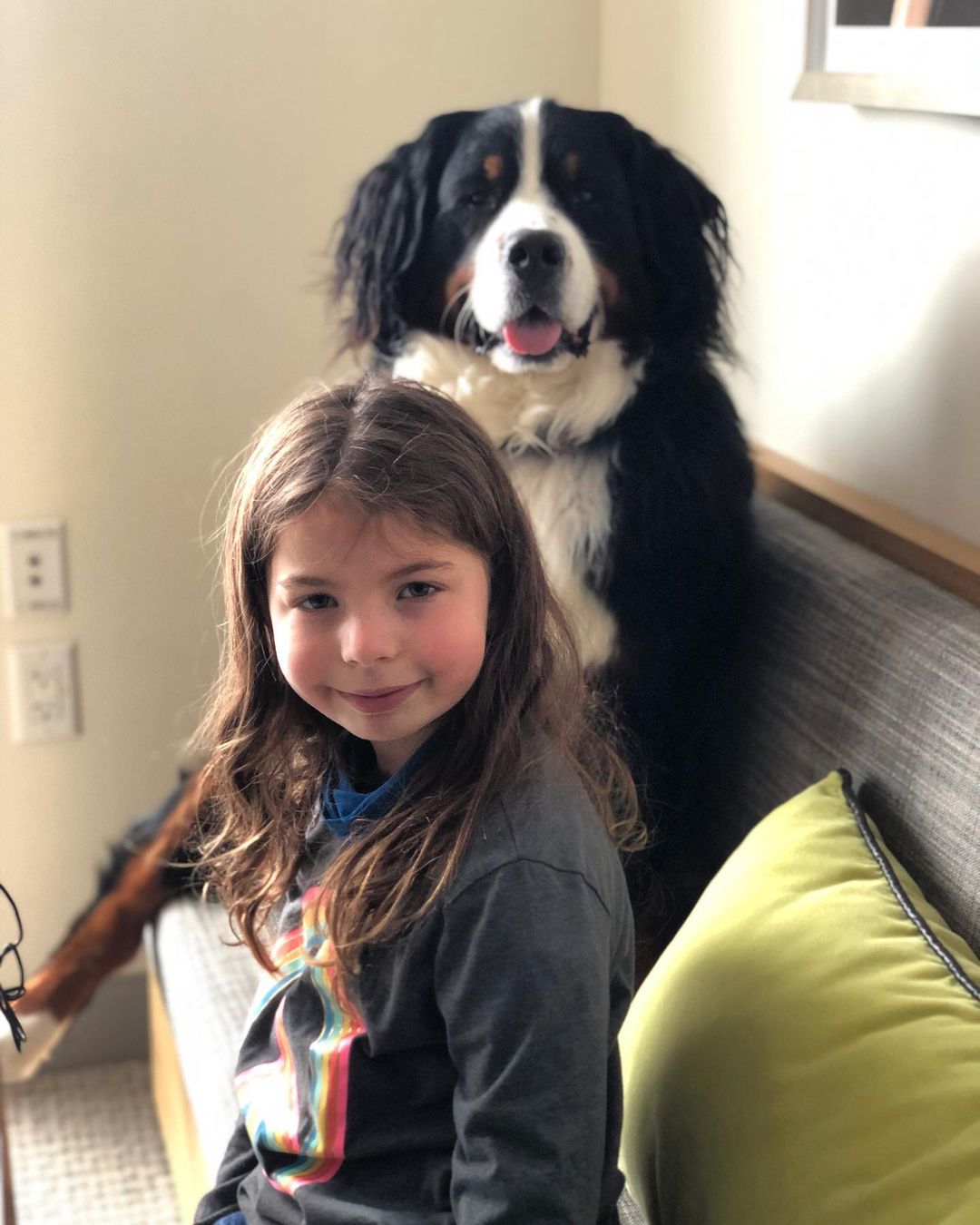photo of a little girl and a giant dog