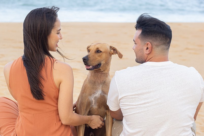 happy couple with dog on the beach