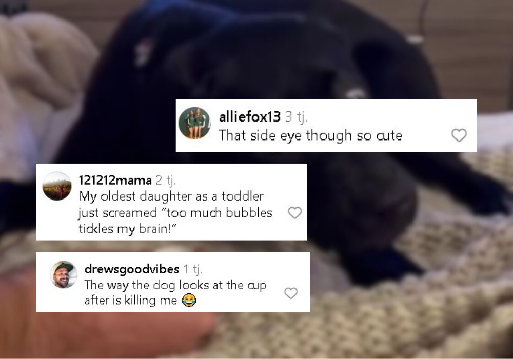 screenshot of comments on the dog's reaction