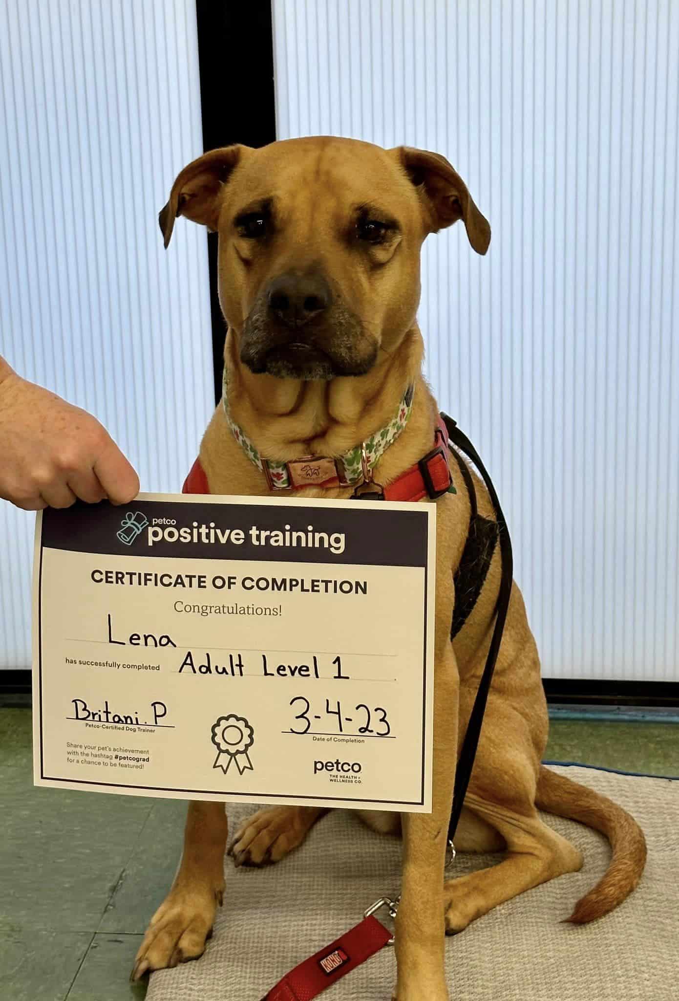 lena graduating a dog training class