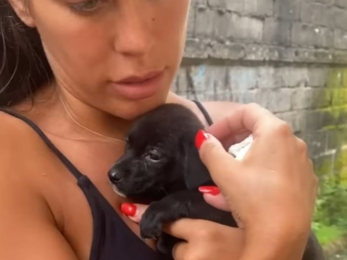 woman holding the puppy