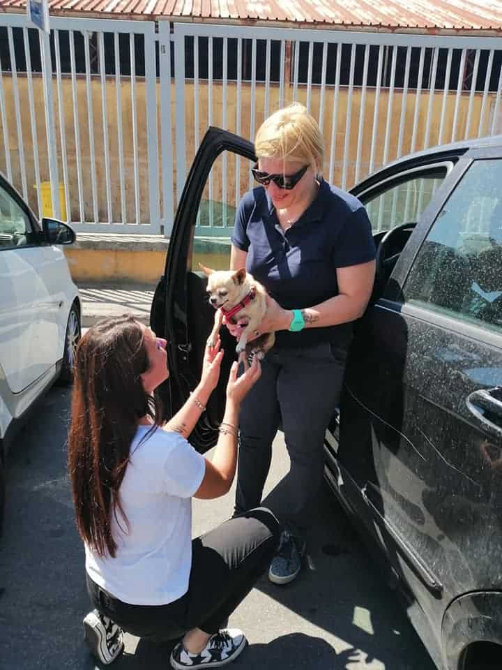 woman giving dog to another woman on parking