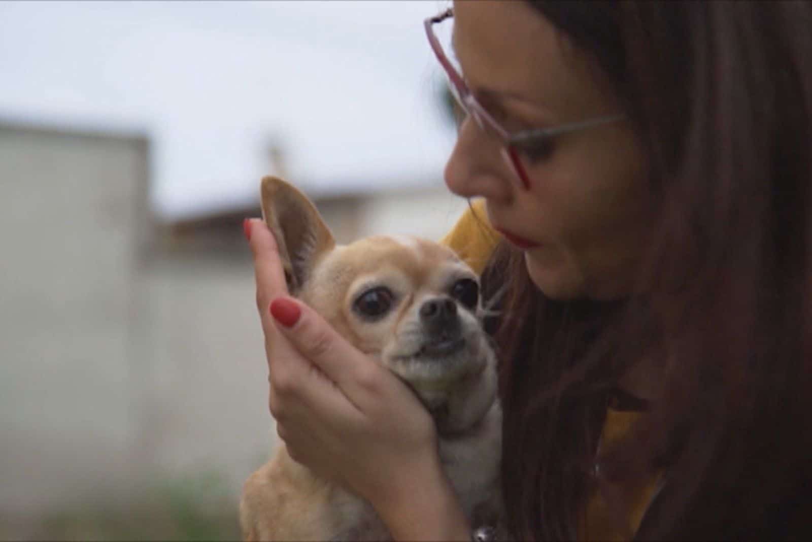 woman holding small dog in her hands