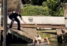 Hero Police Officers Act Upon A Shocking Call About A Drowning Dog