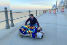 16-Year-Old Dog Gets A Mobile Bed So She Can Visit The Beach