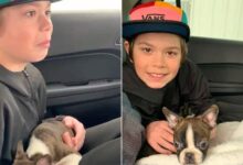 Father Who Loses His Battle To Cancer Gets Son A Puppy As One Last Gift