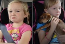 Watch These Little Girls’ Reaction To Getting A Shelter Dog They Wanted So Much
