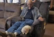 This Grandpa And His Dog Have A Beautiful Bond And Like Doing Everything Together