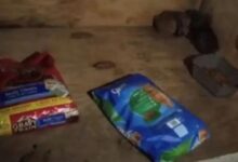 Shelter Workers Shocked By What They Found In Their Donation Box