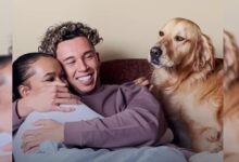 Clingy Golden Retriever Is ‘Super Jealous’ Of His Dad’s New Girlfriend