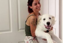 This Adorable 125-Pound Rescue Dog Still Thinks He’s A Small Pup