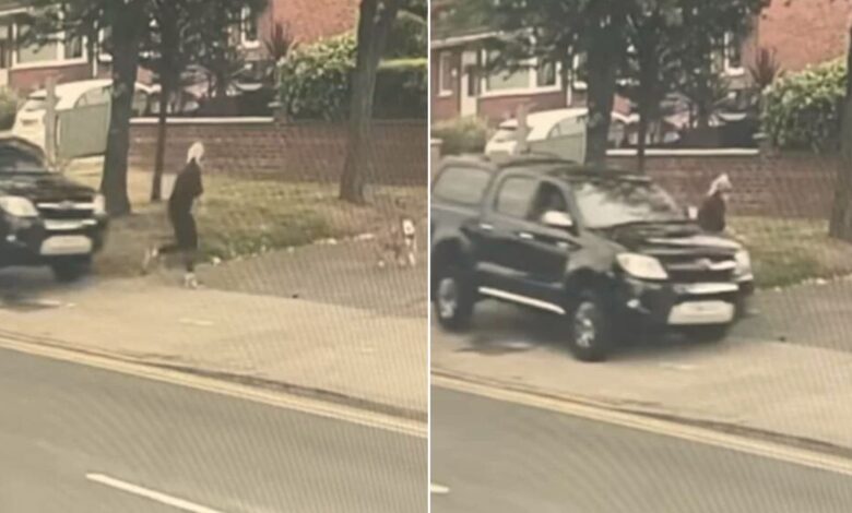 A Heroic Dog Saves His Mom From A Speeding Car