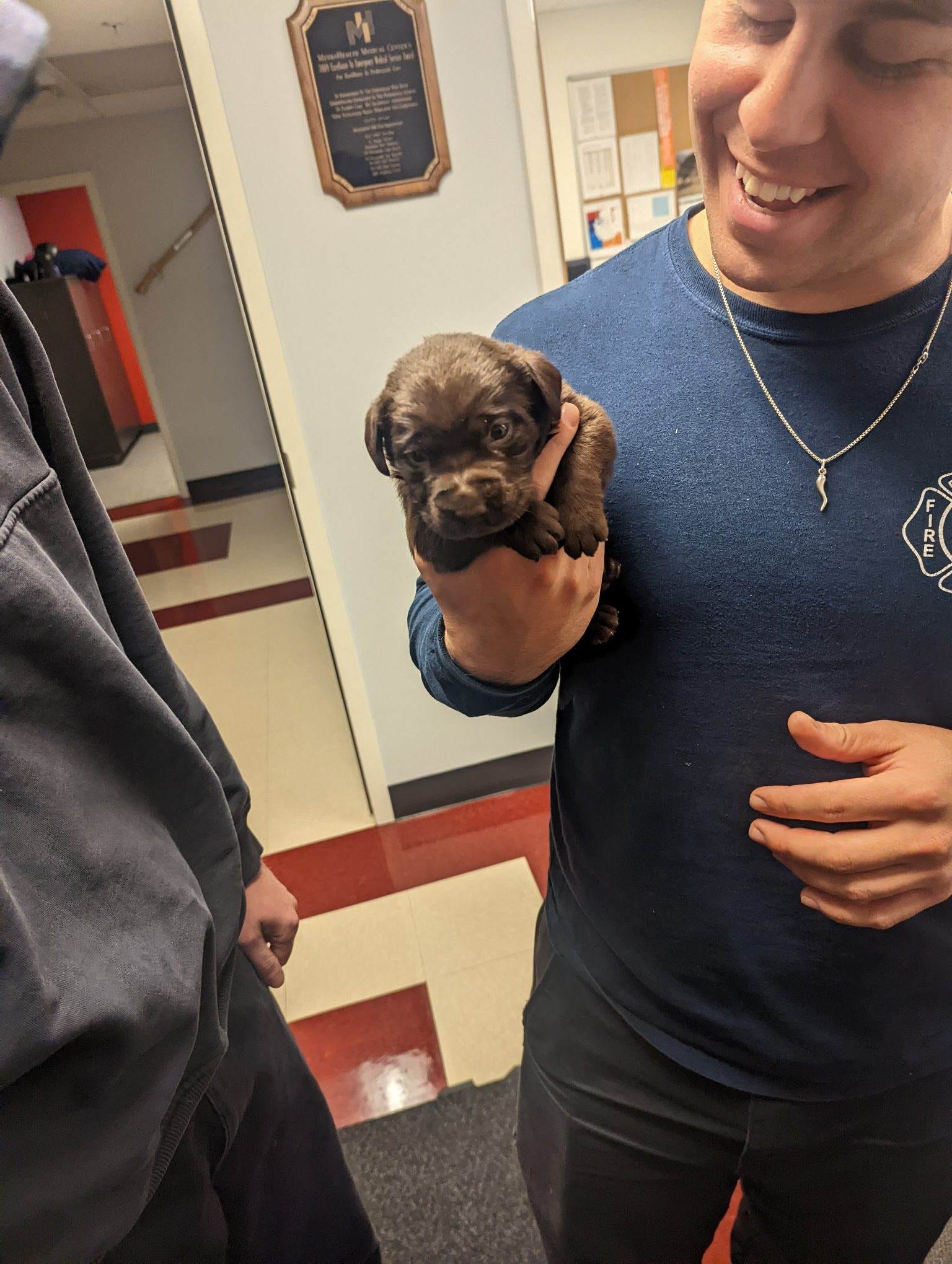 smiling firefighter holding cute puppy in hand