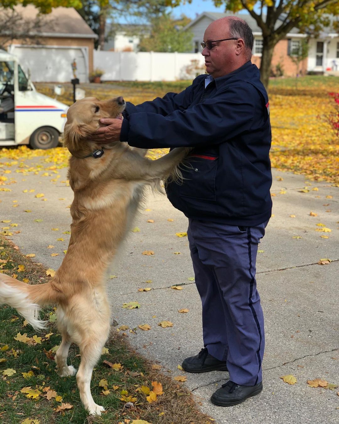 mailman and golden retriever outside