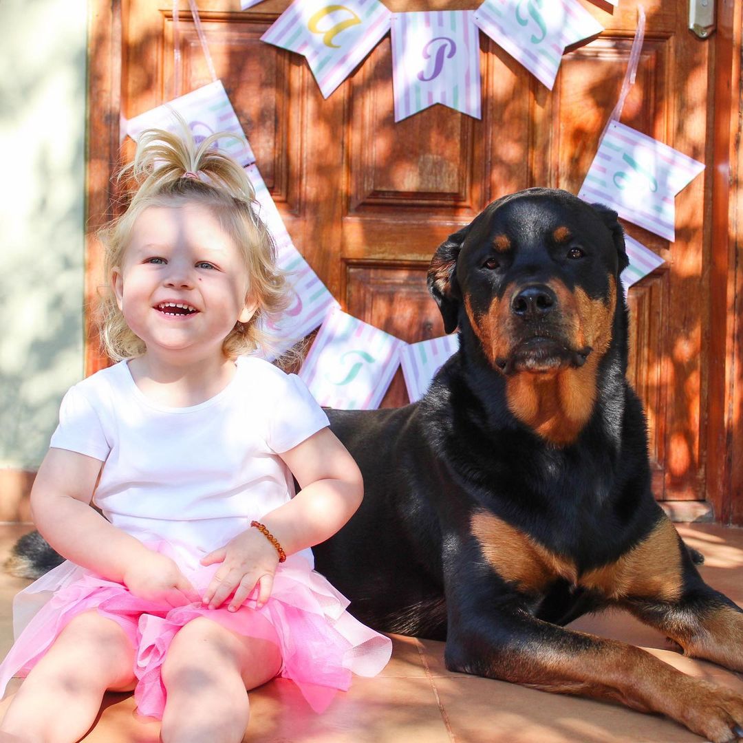 rottweiler and little girl sitting outdoors