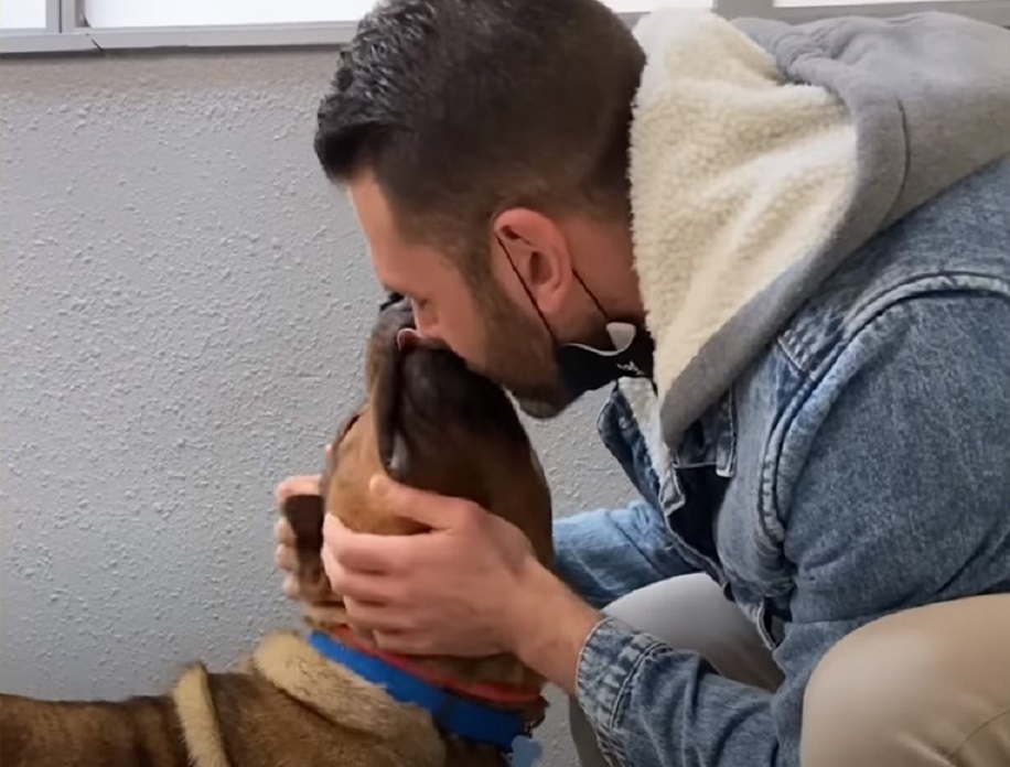 a man kisses a dog