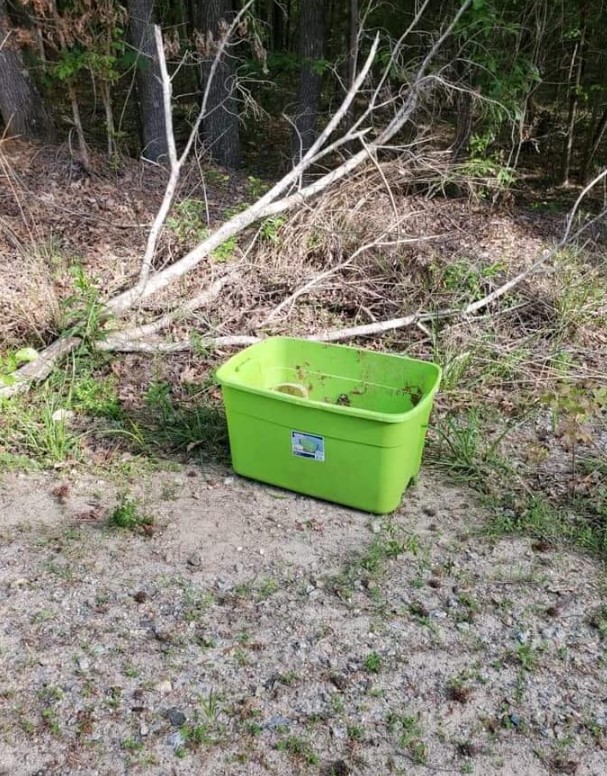 green box on the ground