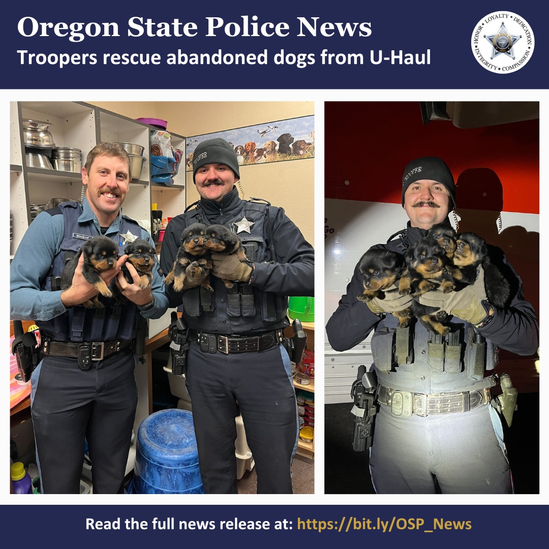officers with puppies