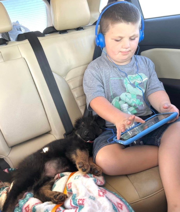 the dog sleeps next to the child in the car