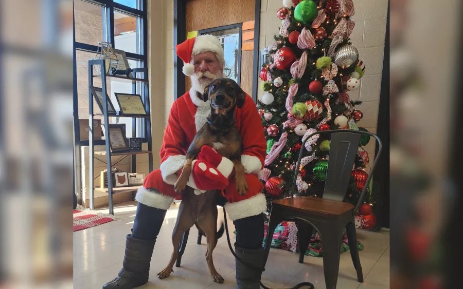 santa posing with dog