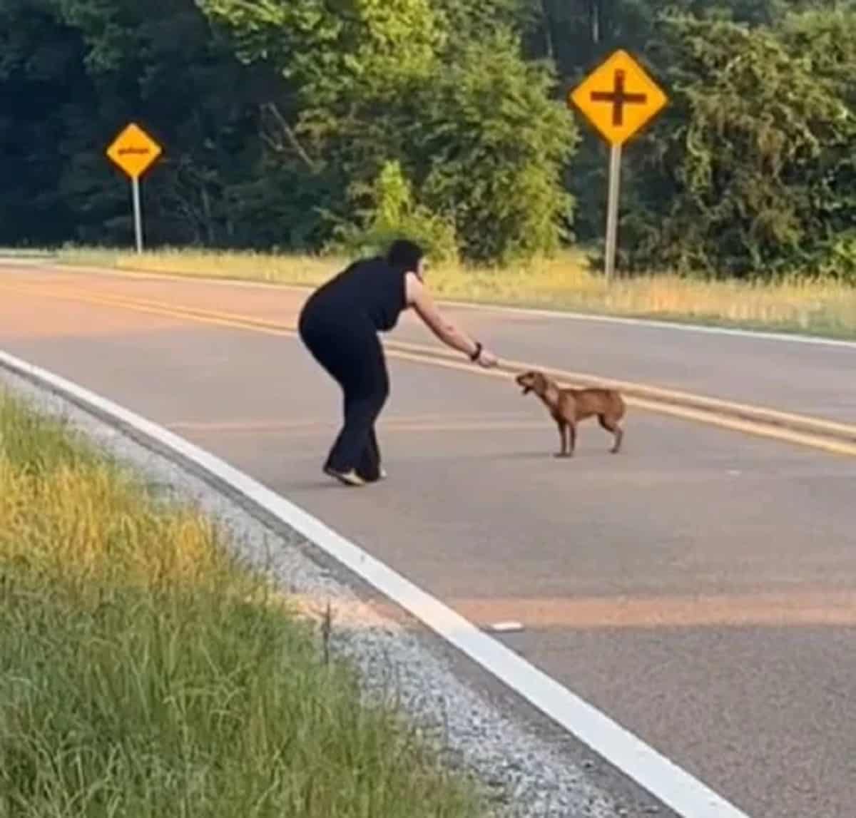 woman approaching to a dog on a road
