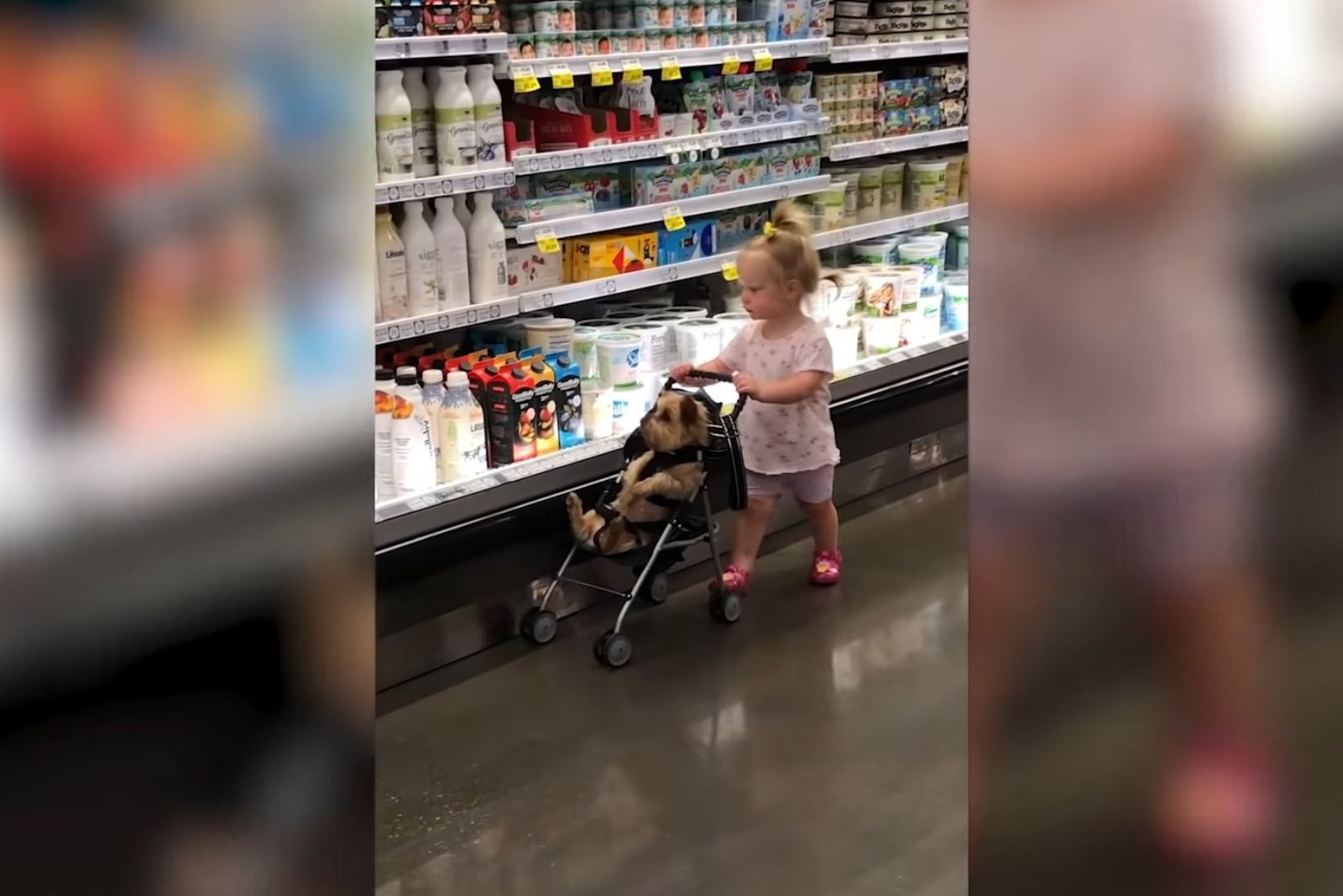 child pushing her dog