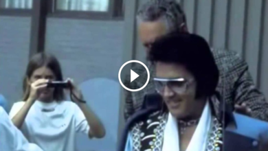 The King of Rock and Roll Faces a Heartache: “She Thinks I Still Care” by Elvis Presley